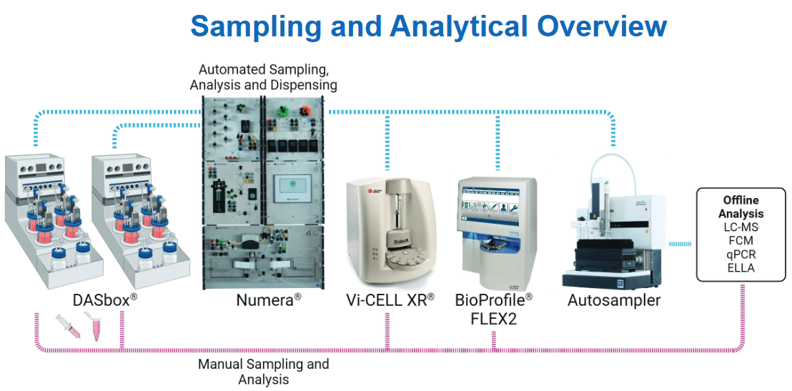 Image reference: Attached published poster at Catapult (Cell and gene therapy)